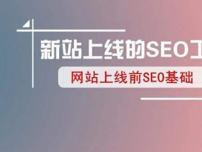 老站長的技術經驗告訴新網站上線怎么做seo?