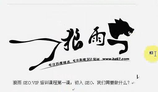 狼雨seo視頻教學教程全集在線觀看