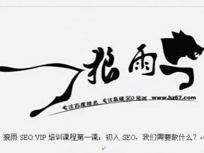 狼雨seo視頻教程