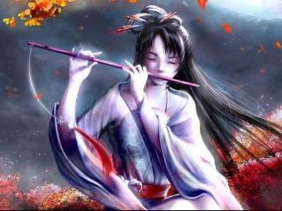 小說網站seo視頻教程